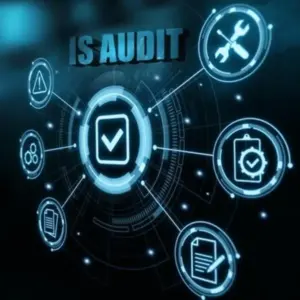 IT System Auditing