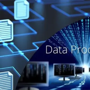 Standard Data Processing Service